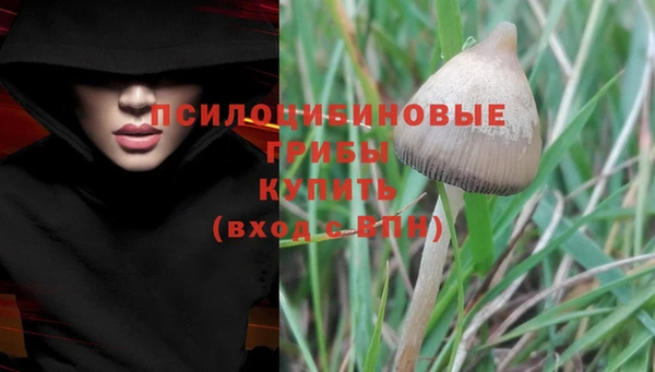 гидра Алексеевка