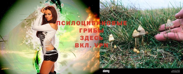 гидра Алексеевка