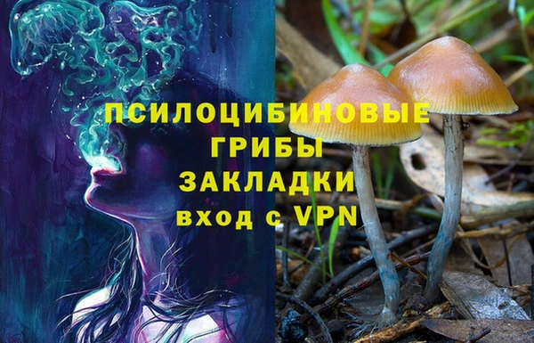 таблы Алексин