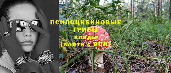 таблы Алексин