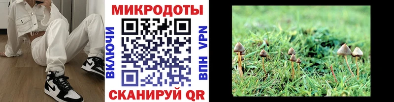 Псилоцибиновые грибы MAGIC MUSHROOMS  сайты даркнета состав  Каменск-Уральский  наркота 