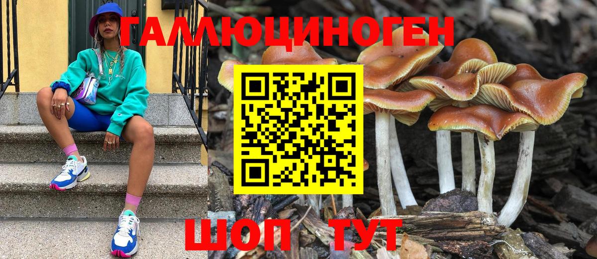 Псилоцибиновые грибы Psilocybine cubensis Каменск-Уральский