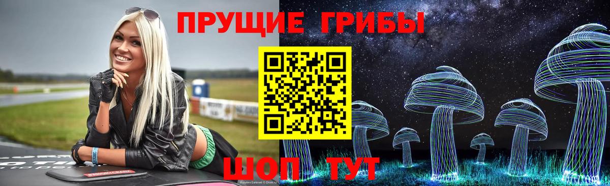 Галлюциногенные грибы Psilocybine cubensis  Вход с VPN  Каменск-Уральский 